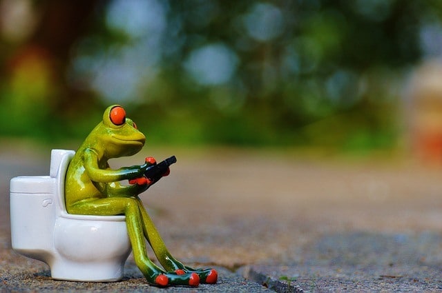 Frog sitting on a toilet using a mobile phone